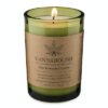 7oz Odor Removing Candle by Cannabolish
