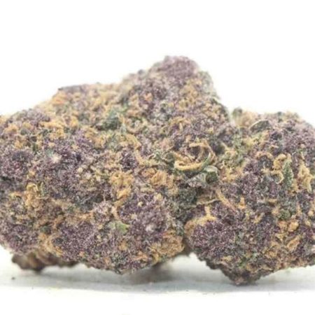 DEEP    PURPLE  .  30% THC. LARE DENSE BUDS     AMAZING SMELL