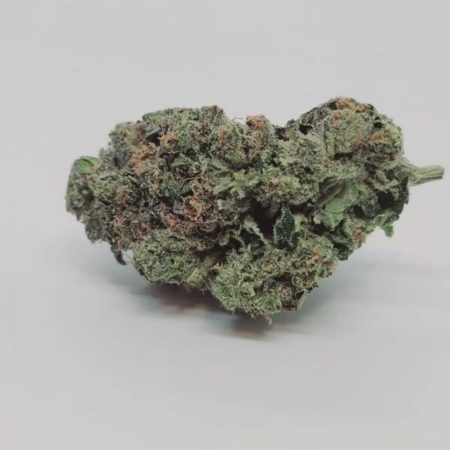 Black Light Indica