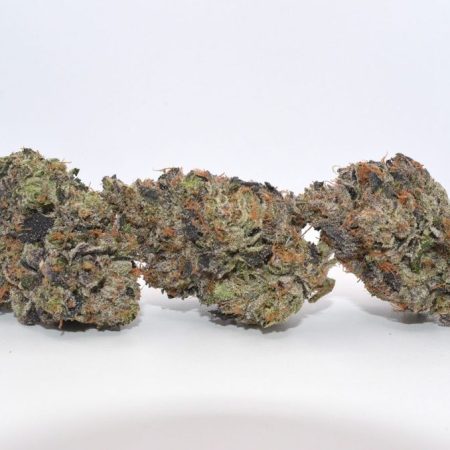Motor Breath AAAA+