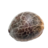 Triple Scoop Seeds