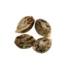 Pure Sunfarms - Headband Seeds Hybrid - 4 Pack