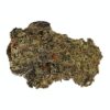 BOAZ | Craft Mandarin Cookies | Sativa | 3.5g