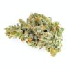 Msiku - Nova Glue - Hybrid - 3.5g
