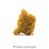 3SAINTS Garlic Z Honeycomb Wax
