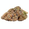 Select Pheno #7 - Coterie