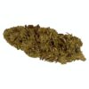 Argentia Gold - Tropicana Banana - Hybrid - 3.5g