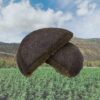 Backcountry Harvest- DESERT HAZE- Hash - 1 g