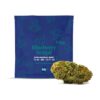 Blueberry Seagal Flower