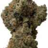 Kush Mintz | 5G