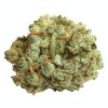 Spinach - Cocoa Bomba - Hybrid - 3.5g