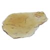 Little Farma - B. Banner Shatter 1g