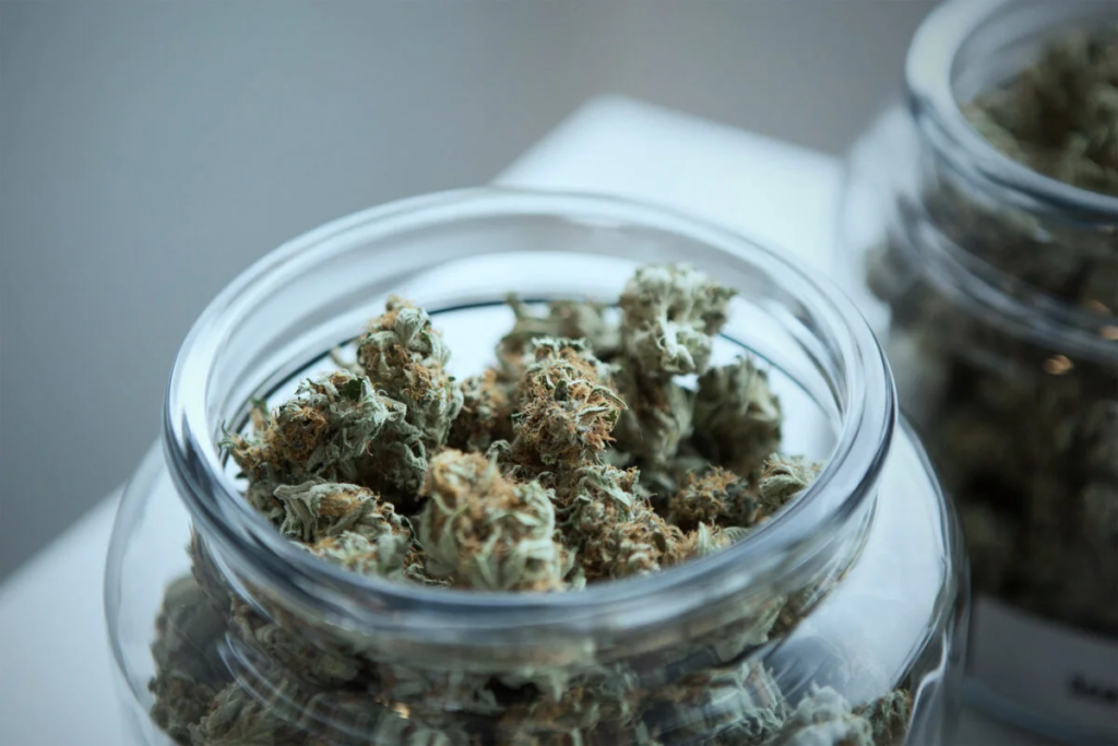 Vegan Cannabis Edibles